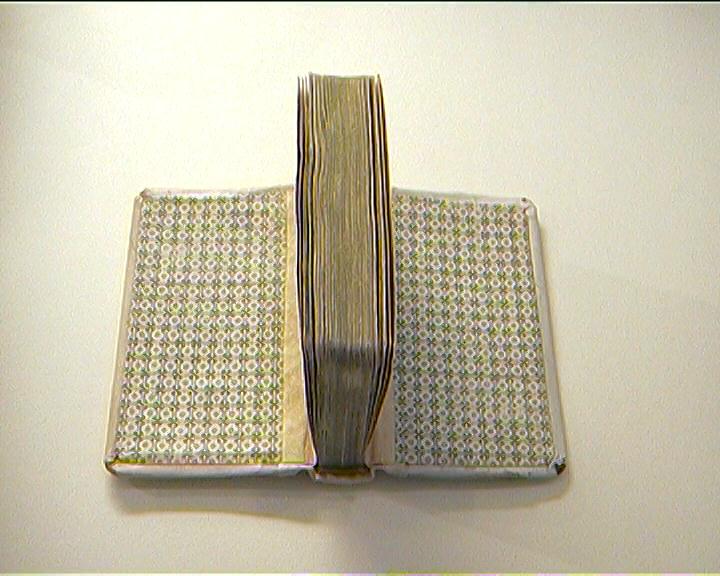Reparatur
gebunden im BuchbindeAtelier . Kochinke