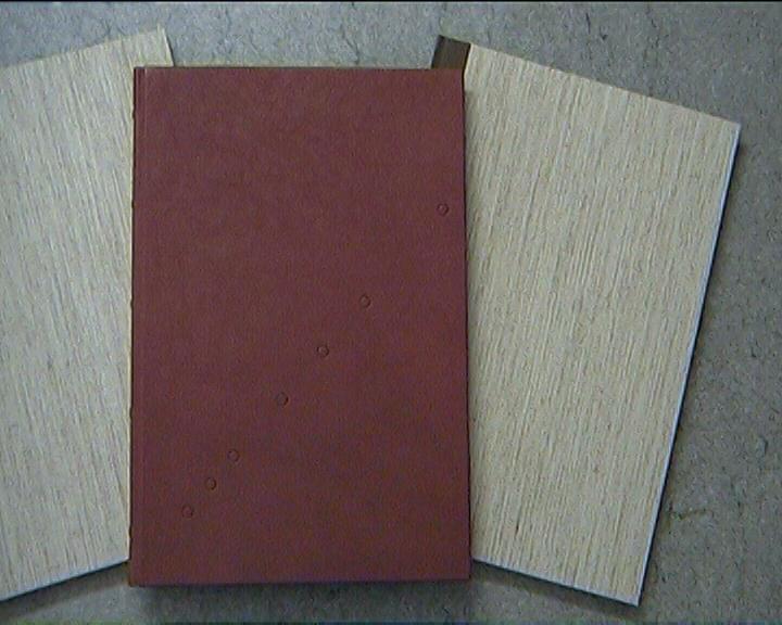 Doktorarbeit
gebunden im BuchbindeAtelier . Kochinke